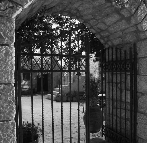 Апартаменты Olga's House