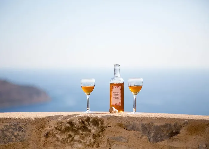 Appartement Olga's House