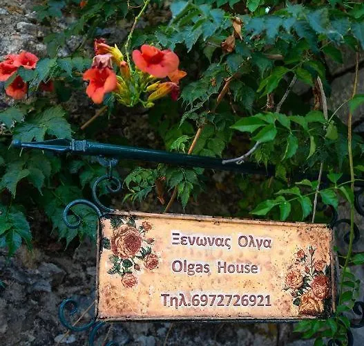 Olga's House Néon Oítilon