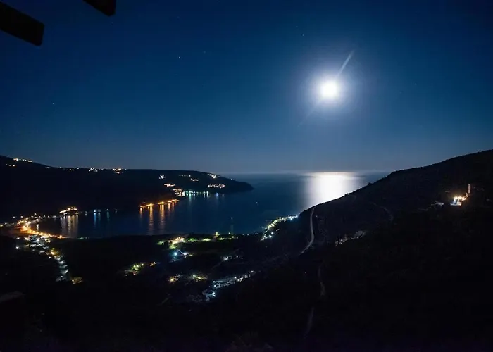 Olga's House Néon Oítilon