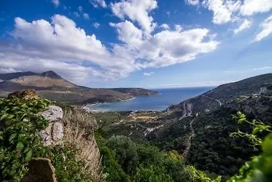 Olga's House Апартаменты *